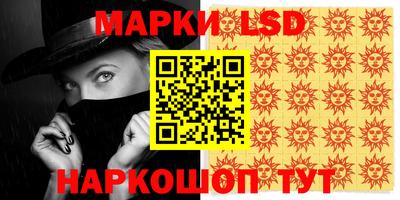 индика Кандалакша