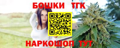 индика Кандалакша