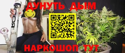 индика Кандалакша