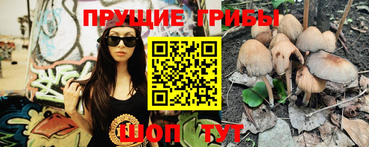 Галлюциногенные грибы Cubensis  Вход с VPN  Тосно 
